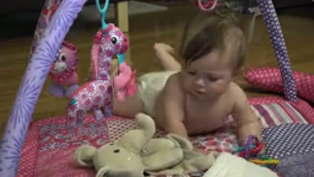 WESTMINSTER COLORADO-2015: A Beautiful Baby Playing With His Rattle And His