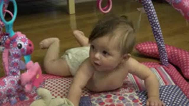 WESTMINSTER COLORADO-2015: A Curious Baby Lays On A Colorful Quilt