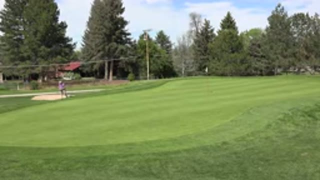 DENVER COLORADO-2015: Man Playing Golf In An Area With Lots Of Green And Trees