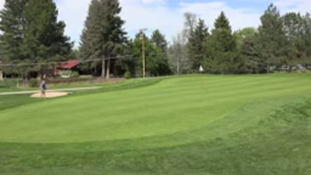DENVER COLORADO-2015: A View Of A Grassy Golf Field And There Are A Bunch Of Trees