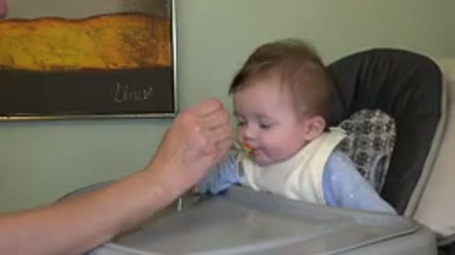 WESTMINSTER COLORADO-2015: An Adult Feeds a Baby Wearing a Bib in a Highchair