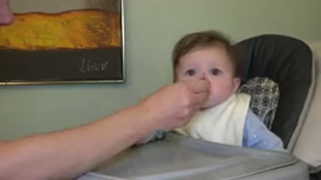 WESTMINSTER COLORADO-2015: Baby Is Being Fed By Dad In Their Sweet Home