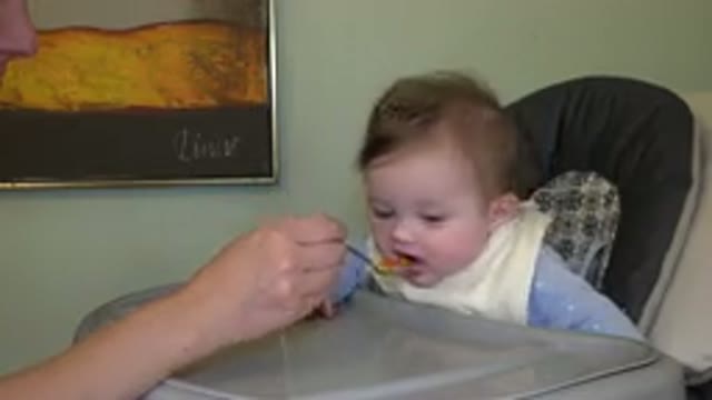 WESTMINSTER COLORADO-2015: Lunchtime For Baby Sitting In The High Chair With The