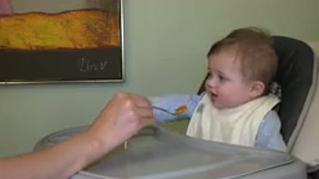 WESTMINSTER COLORADO-2015: Baby Sitting In High Chair Wearing A Bib And Being Fed
