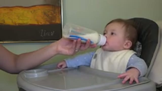 WESTMINSTER COLORADO-2015: Baby Sitting In A Baby Chair Drinking Milk With A