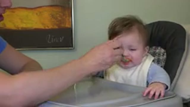 WESTMINSTER COLORADO-2015: A Loving Father Feeding Baby Orange Puree in High Chair