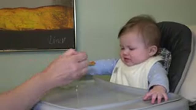 WESTMINSTER COLORADO-2015: Baby In High Chair Gets Upset At Spoonful Of Food