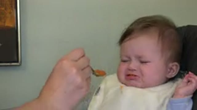 WESTMINSTER COLORADO-2015: Feeding A Hungry Baby In A High Chair With A Spoon