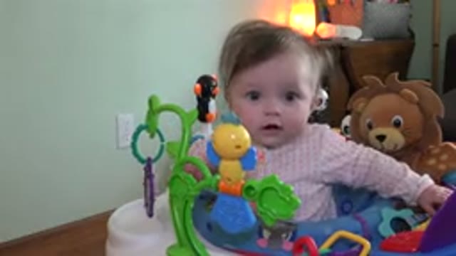 WESTMINSTER COLORADO-2015: Baby Sitting In Its Walker With Mounted Yellow And Blue Soft Toys