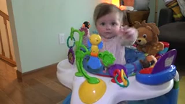WESTMINSTER COLORADO-2015: Little Girl in Bouncy Seat Looking Around to Play