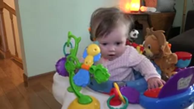 WESTMINSTER COLORADO-2015: A View Of A Cute Baby Sitting On His Chair And Moving