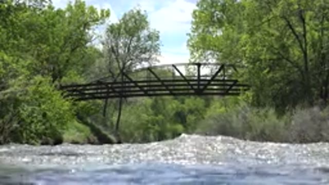 WESTMINSTER COLORADO-2015: Bridge in Forest with Water Flowing Beautifully Among Trees