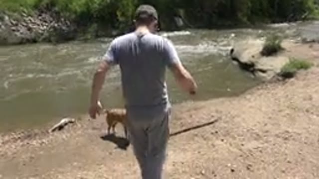 WESTMINSTER COLORADO-2015: Man Walking Near Or Into The Lake And Petting The Dog
