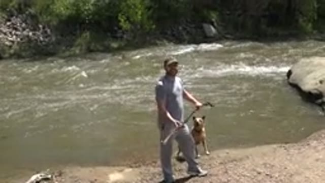 WESTMINSTER COLORADO-2015: Man Carrying a Stick Aiming to Play With a Dog