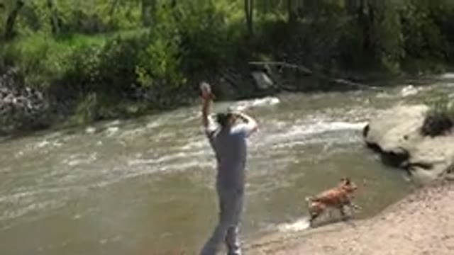 WESTMINSTER COLORADO-2015: Person Carrying Large Stick Playing Near Water
