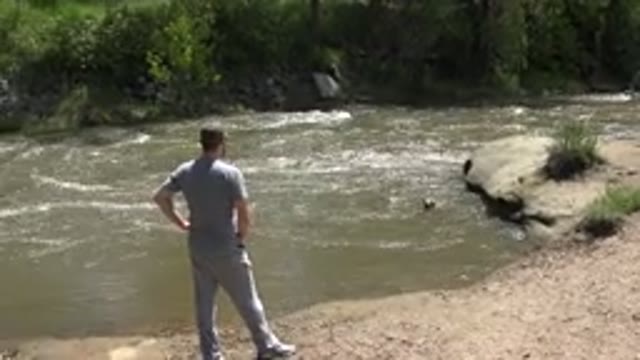 WESTMINSTER COLORADO-2015: A Man in Gray Clothes Viewing a Fast-Flowing Creek