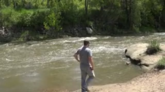 WESTMINSTER COLORADO-2015: Man Watches Canine Carefully Wading in Flowing River
