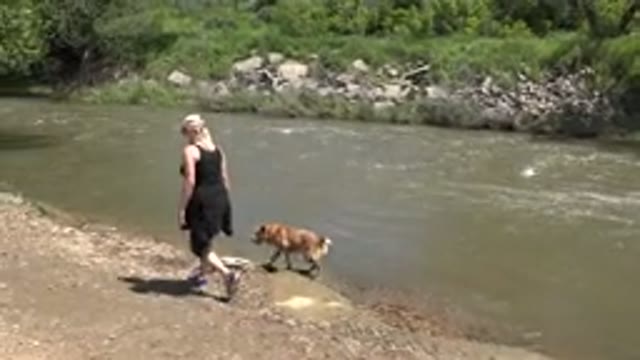 WESTMINSTER COLORADO-2015: A Woman Walking With Her Dog Near A River Surrounded