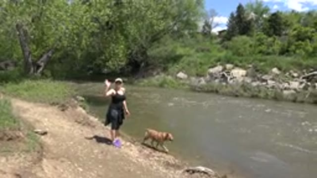 WESTMINSTER COLORADO-2015: Woman Going For A Walk With Her Dog On The Riverside