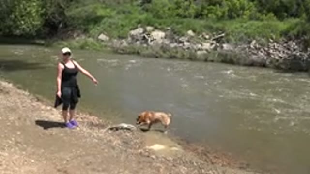WESTMINSTER COLORADO-2015: Woman Pointing At Pet On River Bank