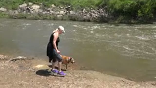 WESTMINSTER COLORADO-2015: Walking My Dog In A Beautiful Landscape Filming
