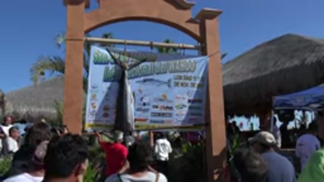 PLAYITA BCS MEXICO-2017: Child Near Shack with Fish Hanging from Sign