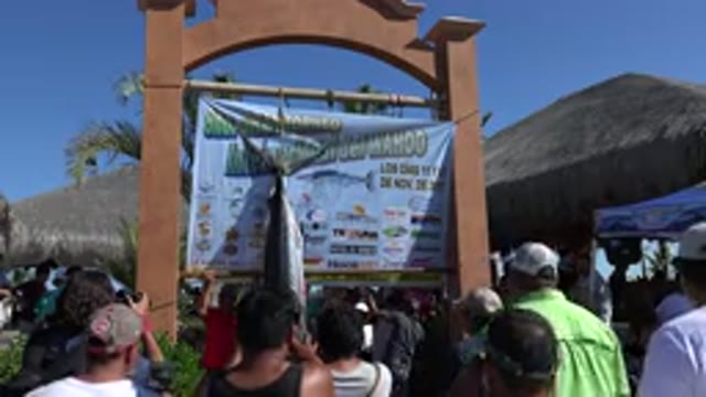 PLAYITA BCS MEXICO-2017: Big Fish In Announcement