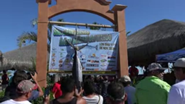 PLAYITA BCS MEXICO-2017: People United Under Unreadable Sign Celebrating And