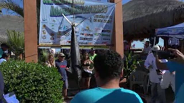 PLAYITA BCS MEXICO-2017: People Looking At A Hanging Shark In A Market And