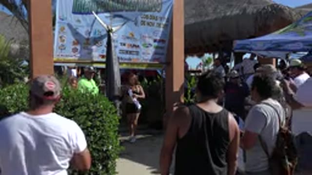 PLAYITA BCS MEXICO-2017: A Miss Being Awarded Near A Statue In The Middle Of