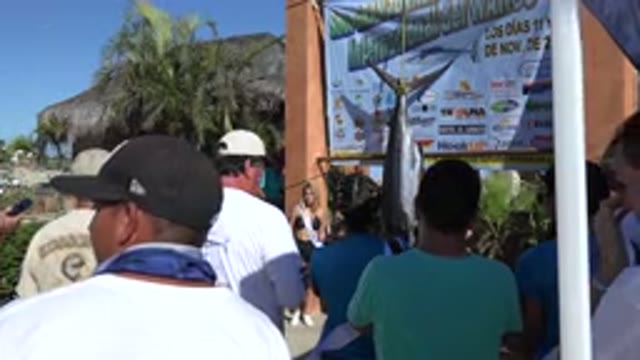 PLAYITA BCS MEXICO-2017: People Surrounding A Large Captured Fish Hanging From
