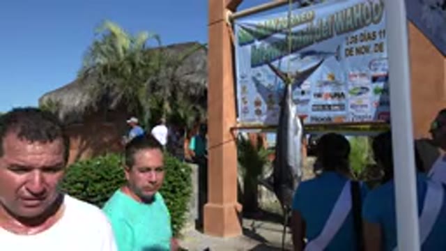 PLAYITA BCS MEXICO-2017: A Large Fish On Display With Many People Seeing And