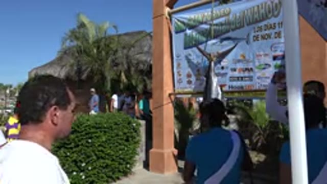 PLAYITA BCS MEXICO-2017: Man Walking Through Tropical Park on a Sunny Day