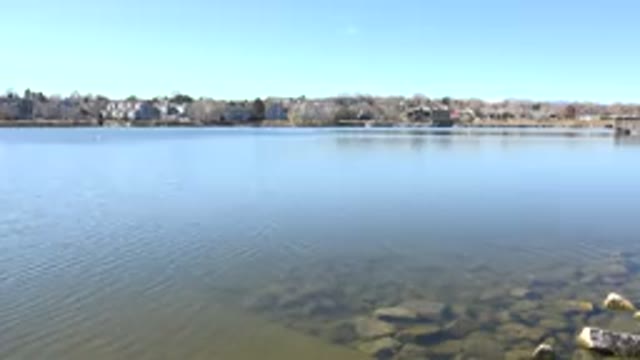 HIDDEN LAKE COLORADO-2017: A View Of A Clear Lake With Pebbles Surrounded