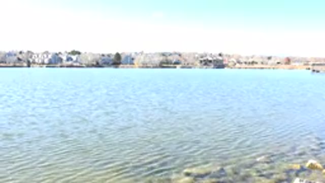HIDDEN LAKE COLORADO-2017: Running Water Near House With Clear Sky And Trees