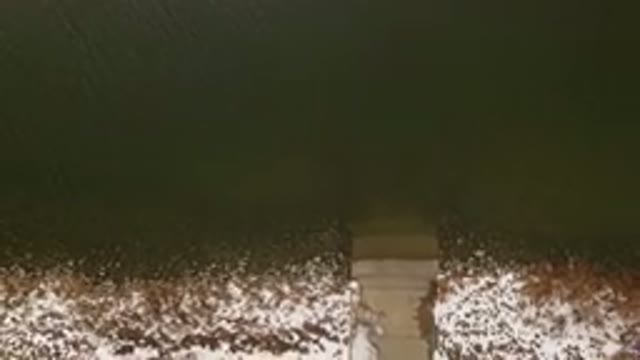 JEFFERSON COUNTY COLORADO-2015: Night View Of A Stairway With Lots Of Vegetation