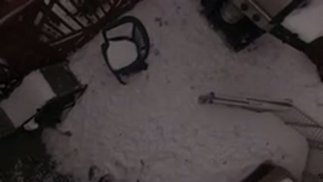 JEFFERSON COUNTY COLORADO-2015: Snowy Backyard With Person and Dog