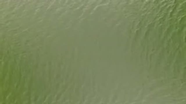 JEFFERSON COUNTY COLORADO-2015: Green Colored Calm Water Flowing With Mild Ripples