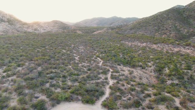 CABO PULMO BCS MEXICO-2023: Desert Landscape with Sparse Shrubs and Mountains During Aerial Descent