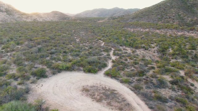 CABO PULMO BCS MEXICO-2023: Desert Landscape with Dirt Path and Expanding Foreground Details