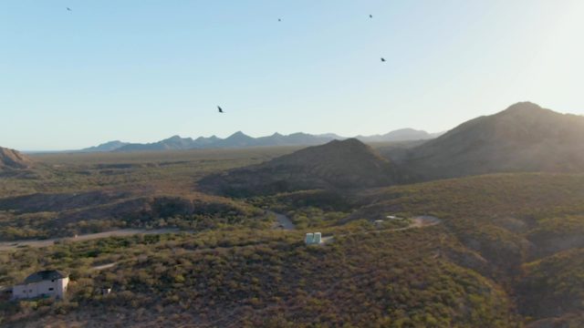 CABO PULMO BCS MEXICO-2023: Birds Flying Over Mountainous Desert Valley