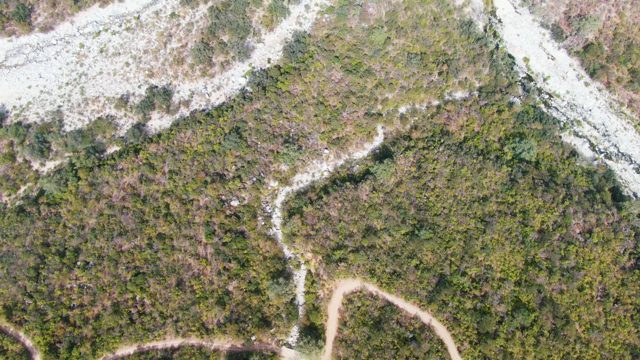 SAN DIONISIO BCS MEXICO-2023: Winding Forest Path with Moving Figure