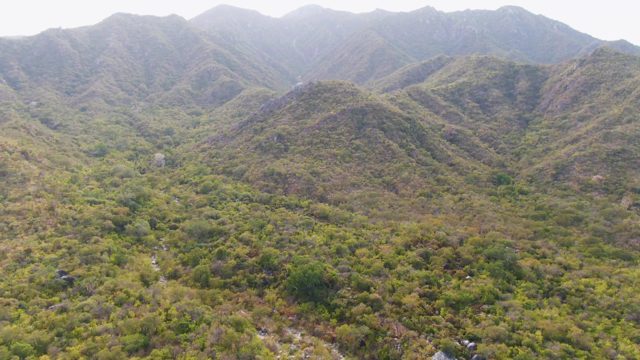 SAN DIONISIO BCS MEXICO-2023: Mountain Valley with Lush Greenery and Stream