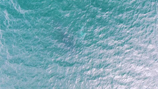 SHIPWRECKS EAST CAPE BCS MEXICO-2023: Ocean Waves with Turquoise Water and White Foam