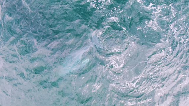 SHIPWRECKS EAST CAPE BCS MEXICO-2023: Whale's Tail Submerging in Ocean Water