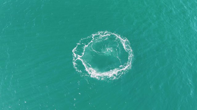 BUZZARDS BEACH EAST CAPE BCS MEXICO-2023: Ocean Vortex with Spreading White Foam