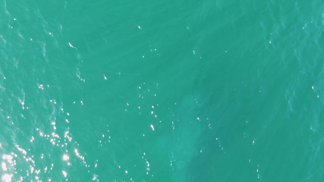 BUZZARDS BEACH EAST CAPE BCS MEXICO-2023: Gentle Ripples on Turquoise Ocean Surface