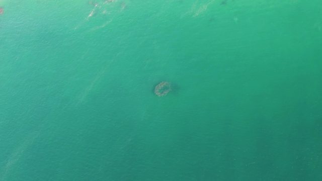 BUZZARDS BEACH EAST CAPE BCS MEXICO-2023: Submerged Circular Formation in Turquoise Water