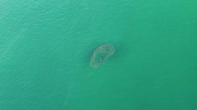 BUZZARDS BEACH EAST CAPE BCS MEXICO-2023: Circular Ocean Formation in Calm Turquoise Water