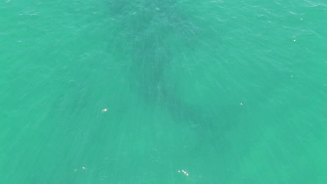 BUZZARDS BEACH EAST CAPE BCS MEXICO-2023: Shallow Turquoise Ocean with Gentle Ripples